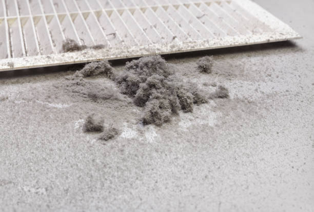 Best Affordable Air Duct Cleaning  in Sebree, KY